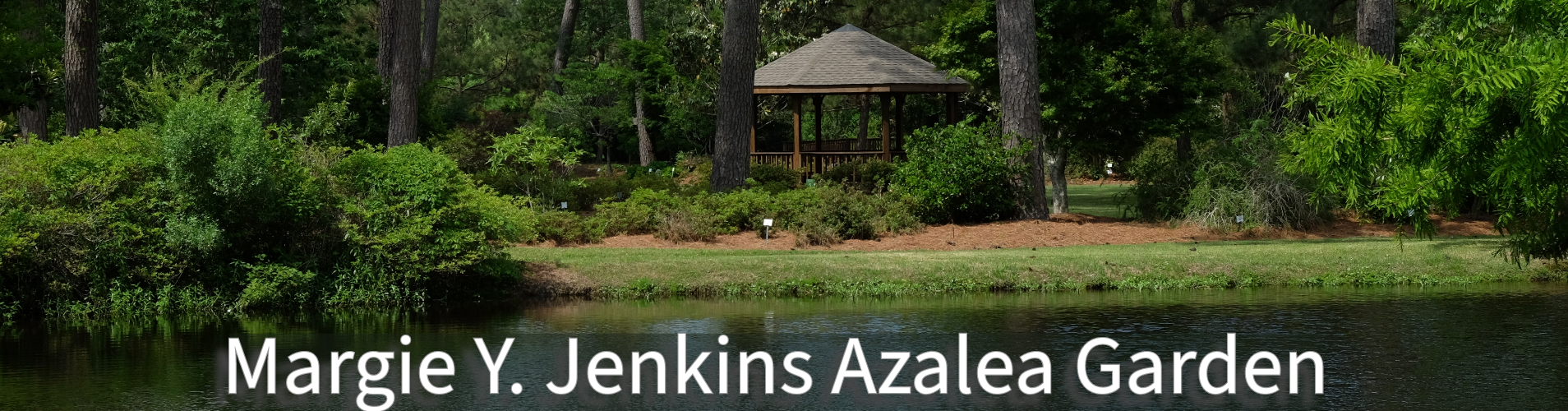 Margie Y. Jenkins Azalea Garden banner.